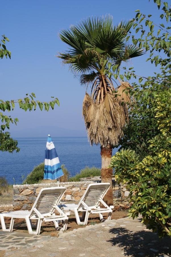 Katafigio Village Kotronion  Esterno foto